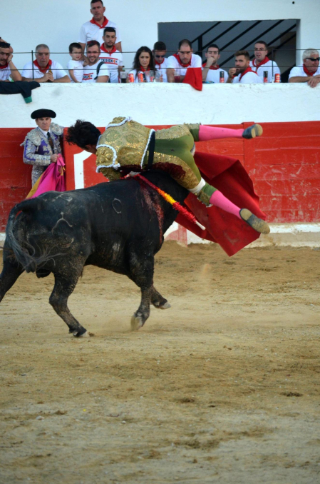 Fotos de la novillada y la cornada a Miguel Serrano en Peralta. /