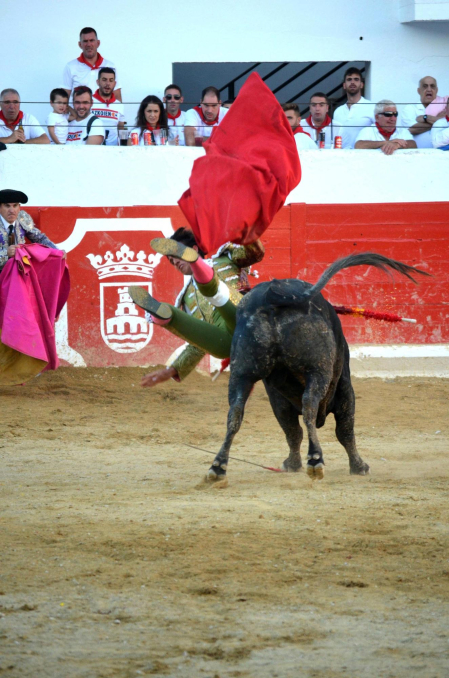 Fotos de la novillada y la cornada a Miguel Serrano en Peralta. /