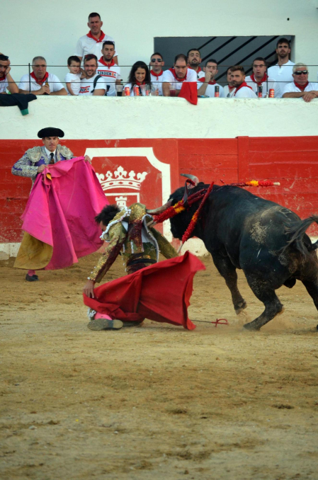 Fotos de la novillada y la cornada a Miguel Serrano en Peralta. /