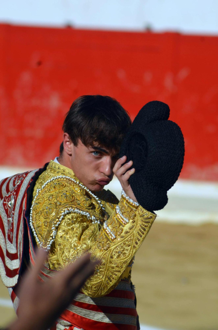 Fotos de la novillada y la cornada a Miguel Serrano en Peralta. /