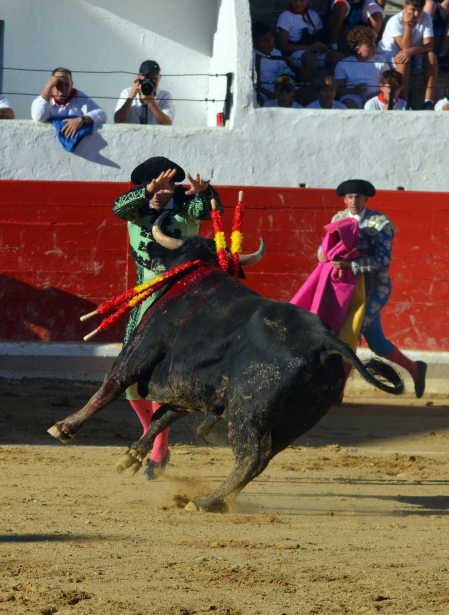 Fotos de la novillada y la cornada a Miguel Serrano en Peralta. /