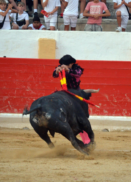 Fotos de la novillada y la cornada a Miguel Serrano en Peralta. /