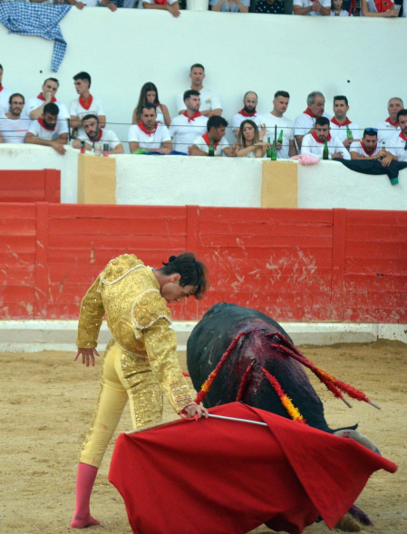 Fotos de la novillada y la cornada a Miguel Serrano en Peralta. /