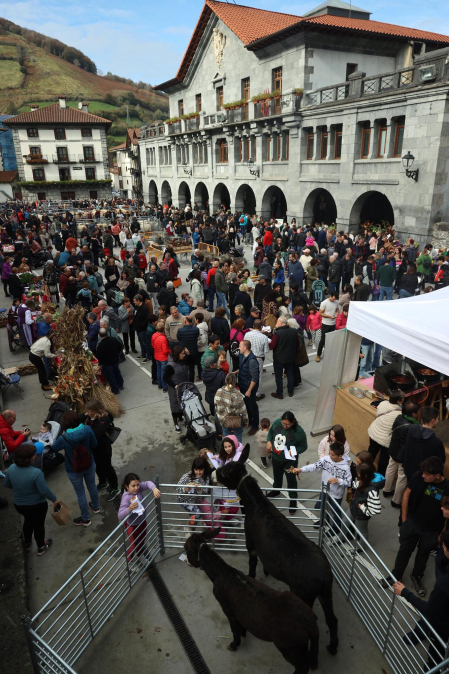 Fotos de la Feria ganadera y de producto local de Leitza y Areso.
