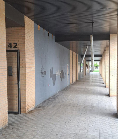 Portal de Reino de Navarra, 42 en Sarriguren. Meses y meses todo el porche y bajera contigua llena de palomas, cagadas y las lámparas se descuelgan... Vecinos hartos y la Policía Municipal avisada