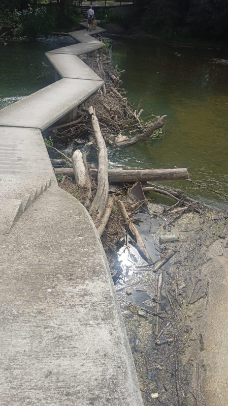 Qué pena y vergüenza da ver en este estado las pasarelas del río Arga en Pamploa. Luego dicen que se rompen, que hay que cortar el paso por inundaciones, etc. Una sugerencia sería que cogiesen a los jóvenes que no hacen nada yreciben ayudas y que los pusiesen a limpiar y quitar todo lo que se acumula