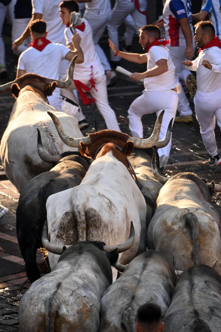 Fotos del sexto encierro de San Fermín con toros de Escolar. |