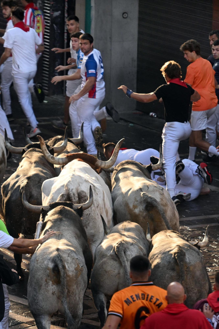 Fotos del sexto encierro de San Fermín con toros de Escolar. |