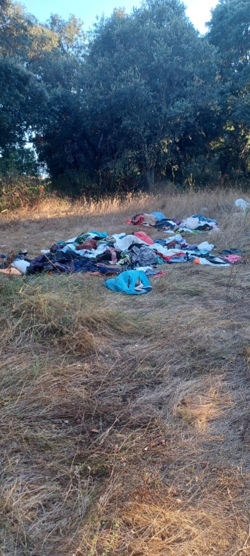 'Mercadillo' en el monte de Oco. Con lo fácil que es llevar al contenedor blanco