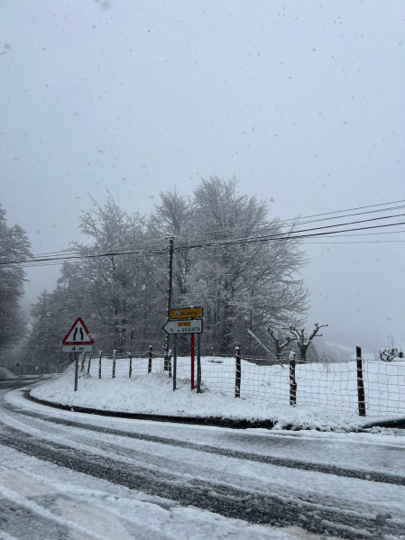 Fotos de la nevada caída este sábado en Leitzaran