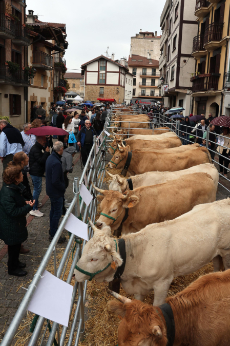 Ferias de Alsasua.