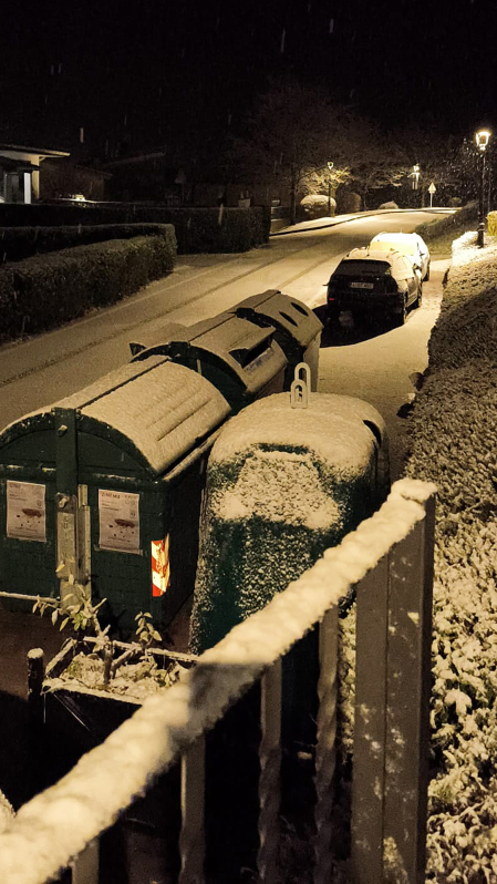 Erice de iza bajo la nieve /