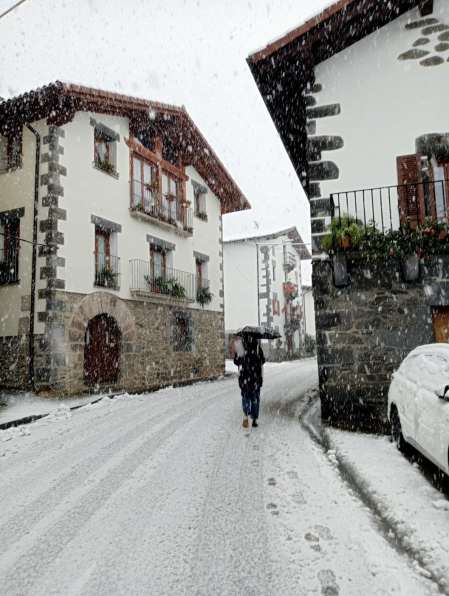 Nieve en Leitza.