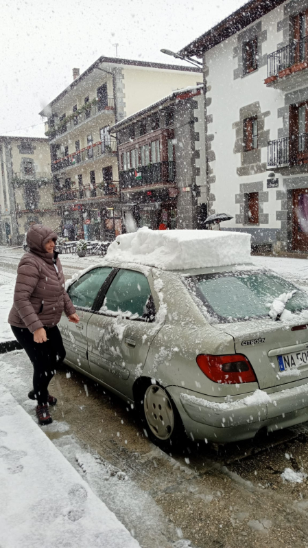 Nieve en Leitza.