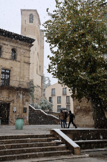 nieve estella