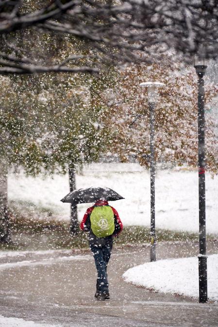 Nieve Pamplona