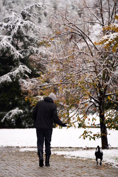 Nieve Pamplona