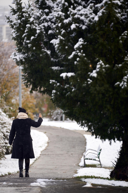 Nieve Pamplona