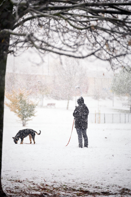 Nieve Pamplona