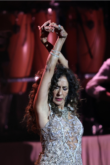 Fotos del concierto de Rosario Flores en Baluarte este lunes, 8 de diciembre