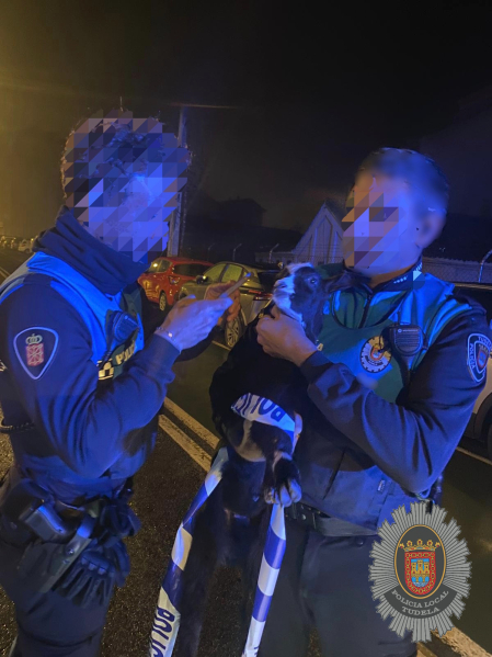 Agentes de Policía Local, con la cabra aparecida en el polígono de Tudela