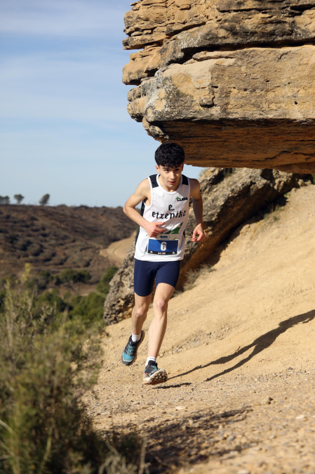 Larrate Trail