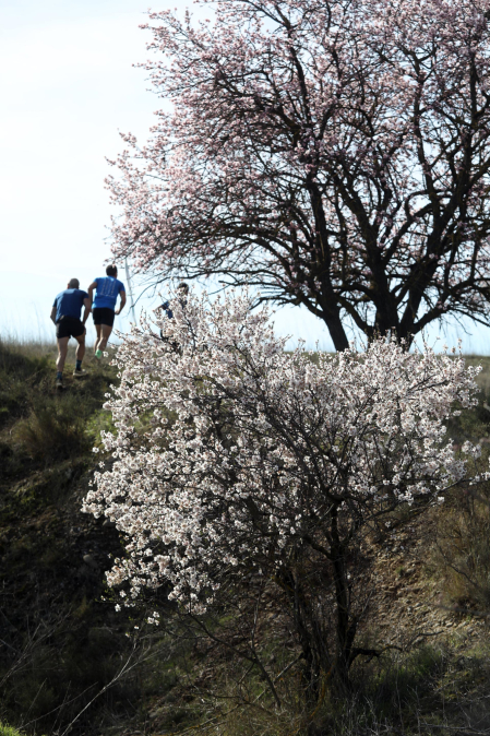 Larrate Trail
