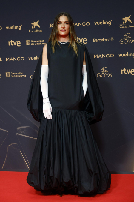 Fotos de la alfombra roja de los Premios Goya 2026.