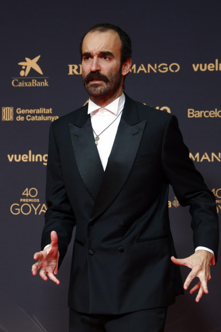Fotos de la alfombra roja de los Premios Goya 2026.