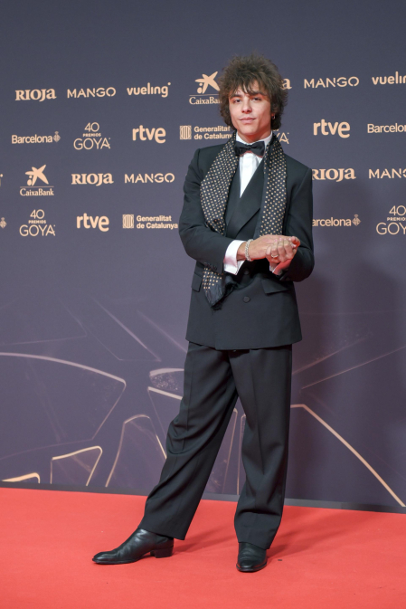 Fotos de la alfombra roja de los Premios Goya 2026.