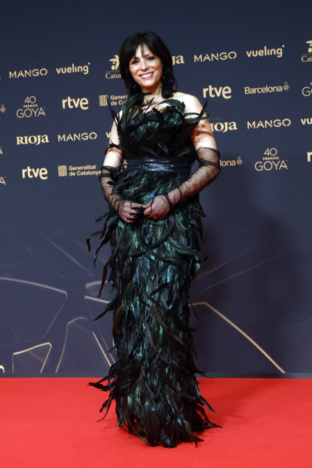 Fotos de la alfombra roja de los Premios Goya 2026.