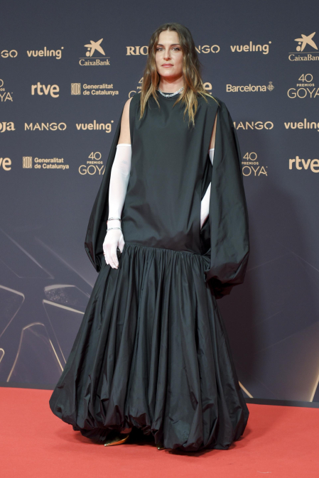 Fotos de la alfombra roja de los Premios Goya 2026.