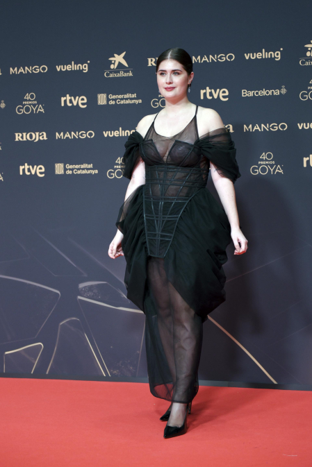 Fotos de la alfombra roja de los Premios Goya 2026.