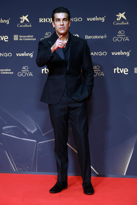 Fotos de la alfombra roja de los Premios Goya 2026.