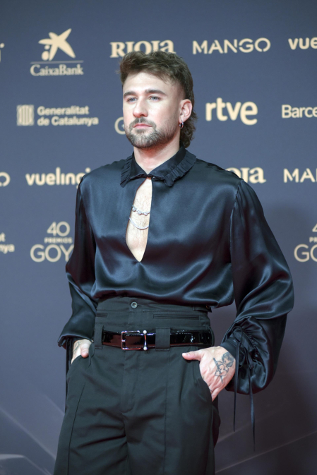 Fotos de la alfombra roja de los Premios Goya 2026.