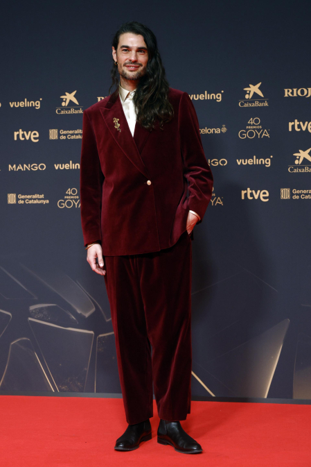 Fotos de la alfombra roja de los Premios Goya 2026.