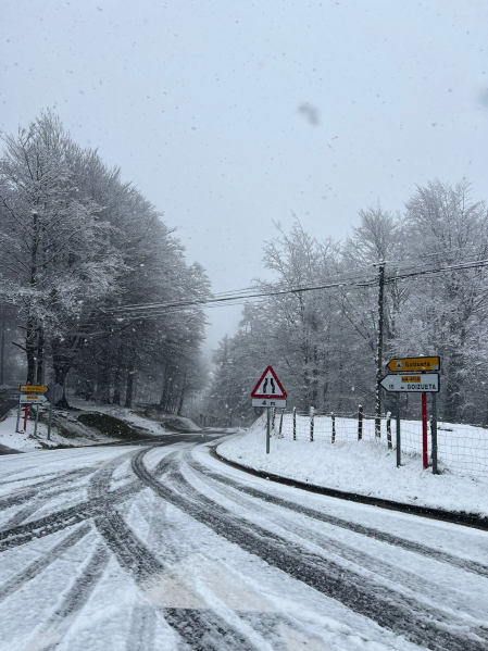 Fotos de la nevada caída este sábado en Leitzaran