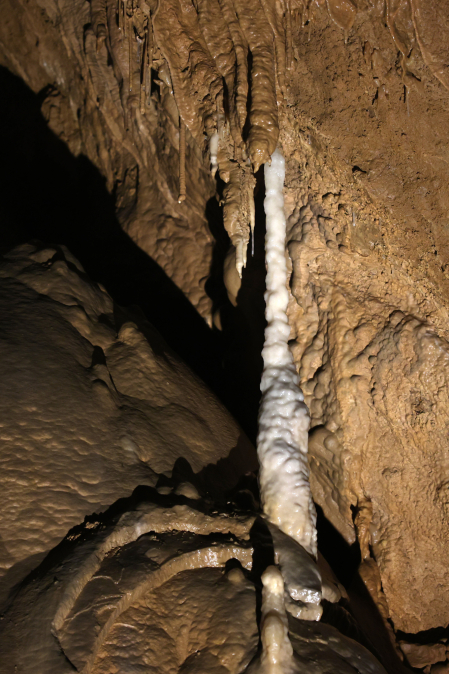Cueva de Mendukilo. Cata a ciegas de agua de estalagtita de cueva y productos de la zona