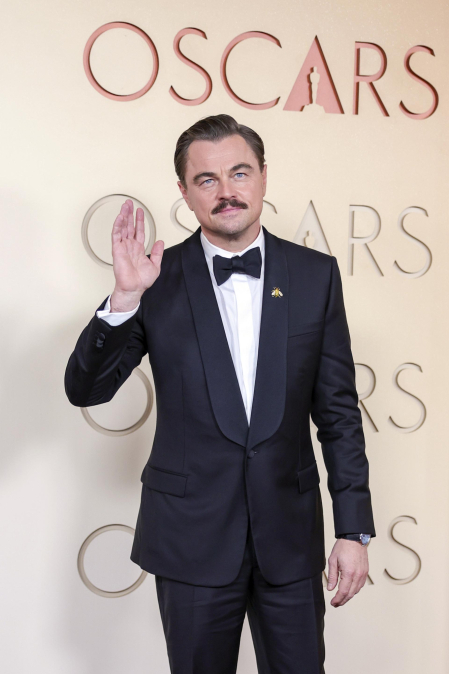 Fotos de la alfombra roja de la gala de los premios Óscar 2026