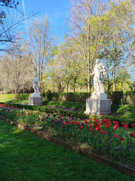 Primavera. Taconera.