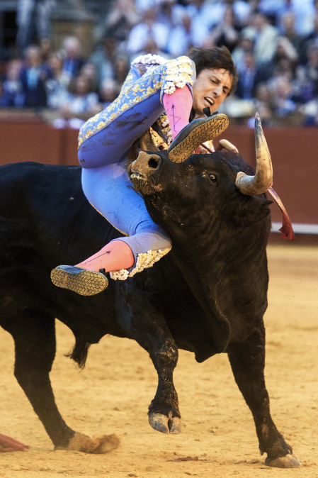 Cogida de Roca Rey al entrar a matar a su segundo toro en la Maestranza, este jueves 23 de abril