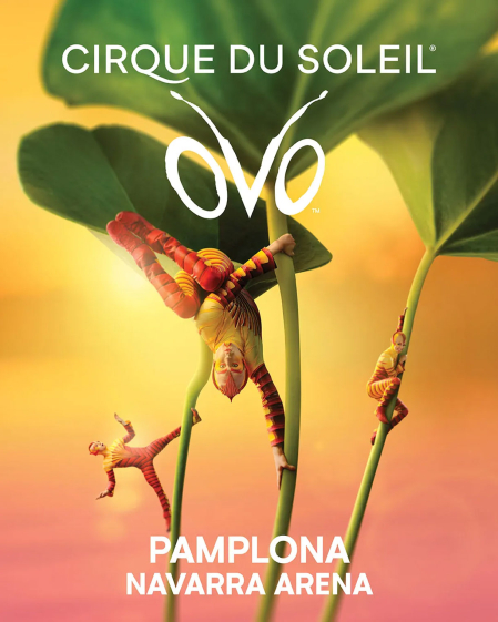 CIRCO DEL SOL