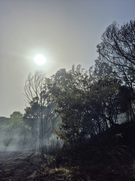 Fotos del incendio que se ha producido en Mañeru y ha cortado la A-12