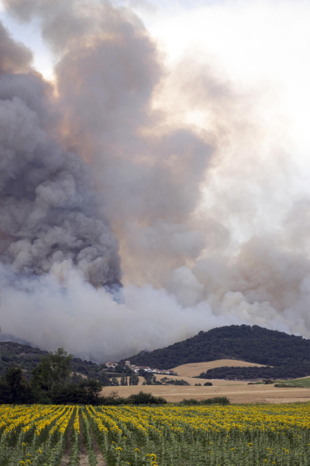 Foto del incendio al norte del monte San Cristóbal
