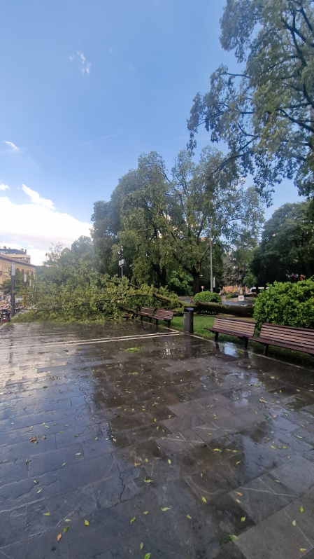 La tormenta y el viento han causado algunas incidencias leves en Pamplona