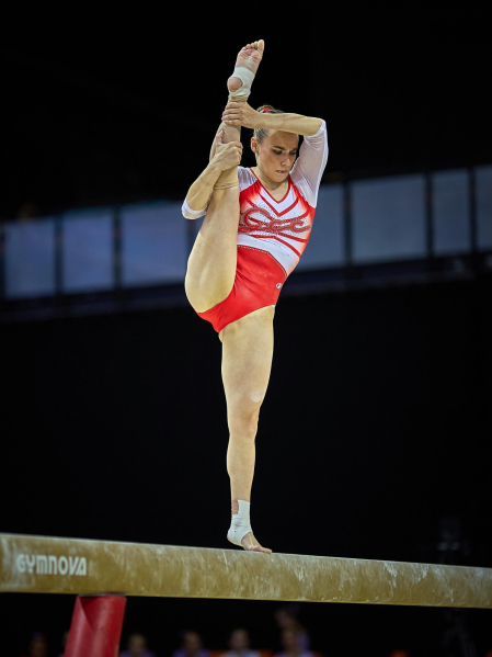 Gimnasia Artística