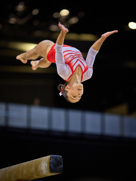 Gimnasia Artística
