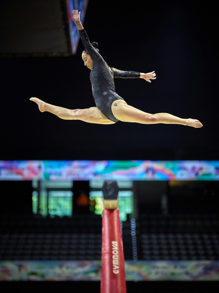 Gimnasia Artística