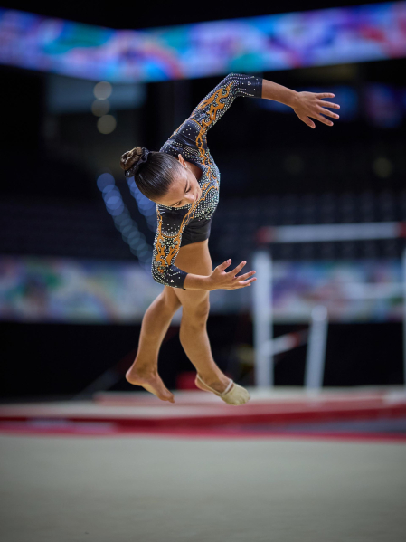 Gimnasia Artística
