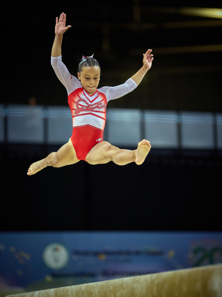 Gimnasia Artística